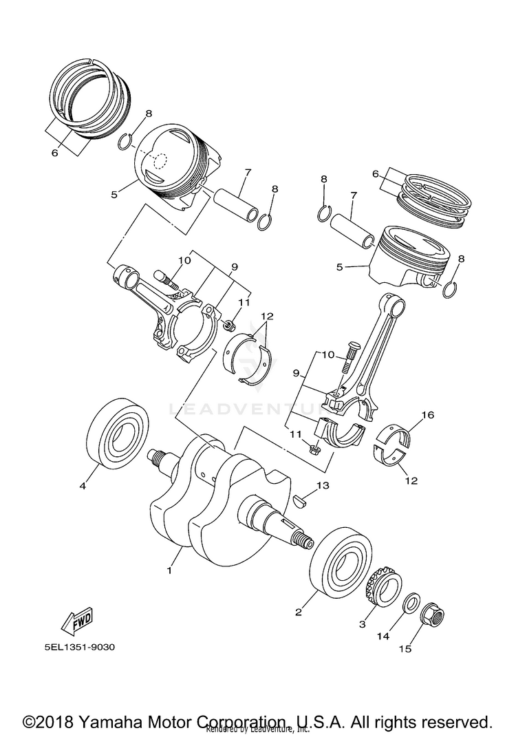 Crankshaft Piston Schematic