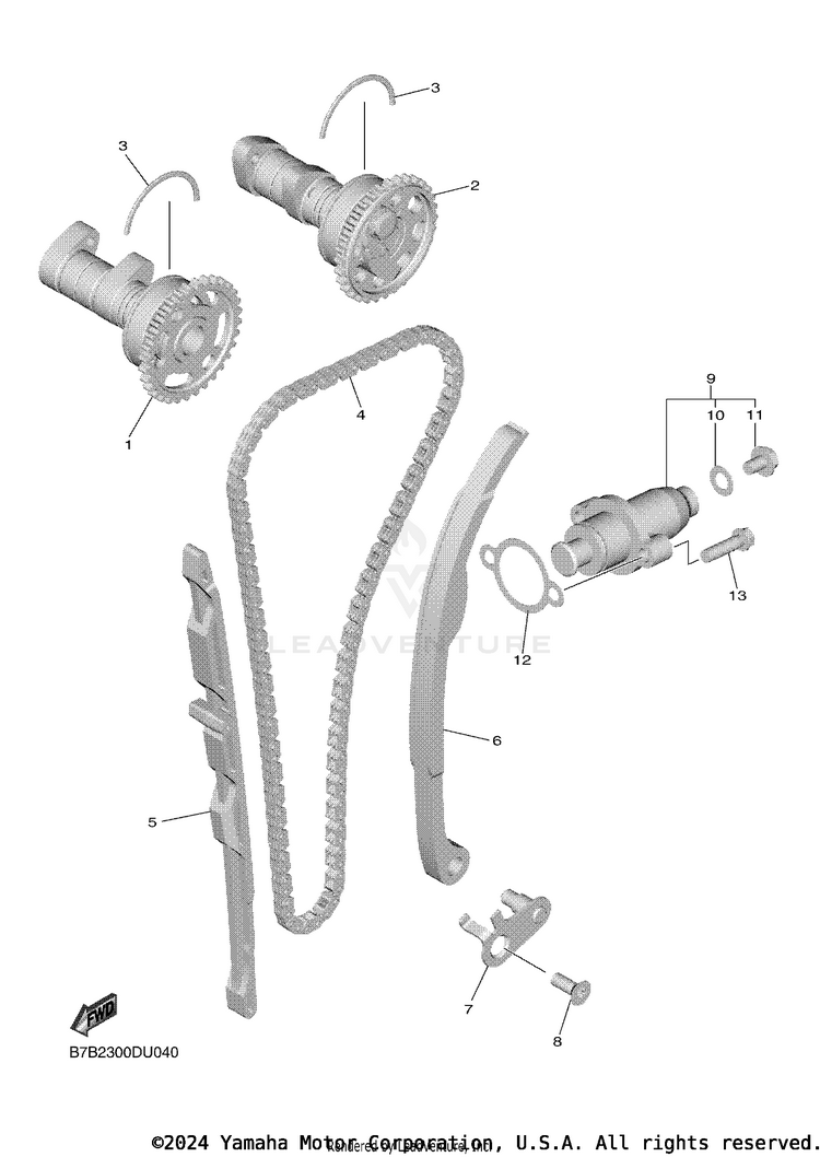 Camshaft & Chain Schematic
