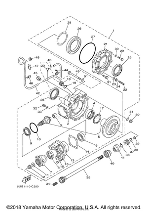Drive Shaft Schematic
