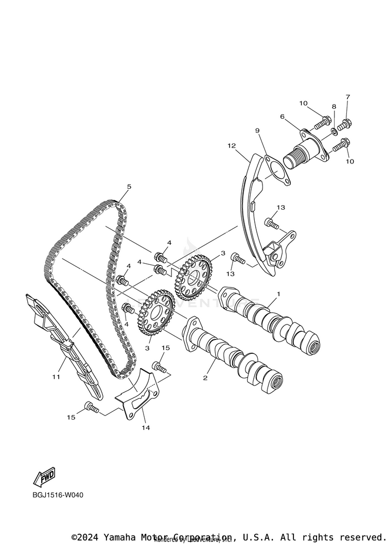 Camshaft & Chain Schematic