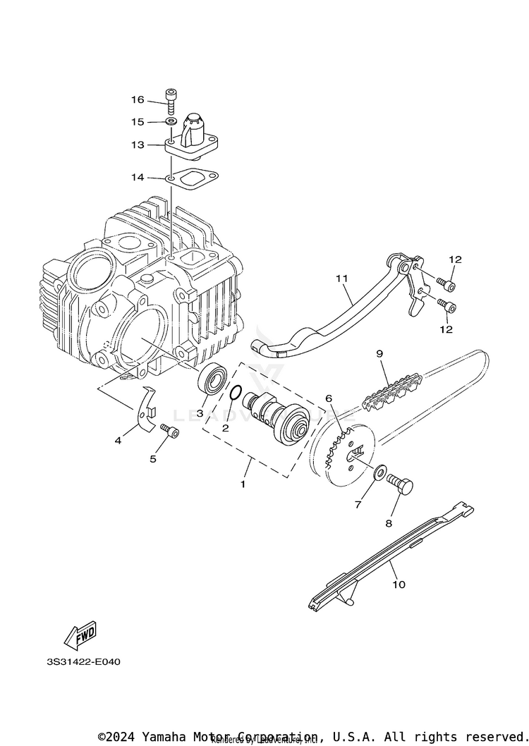 Camshaft & Chain Schematic