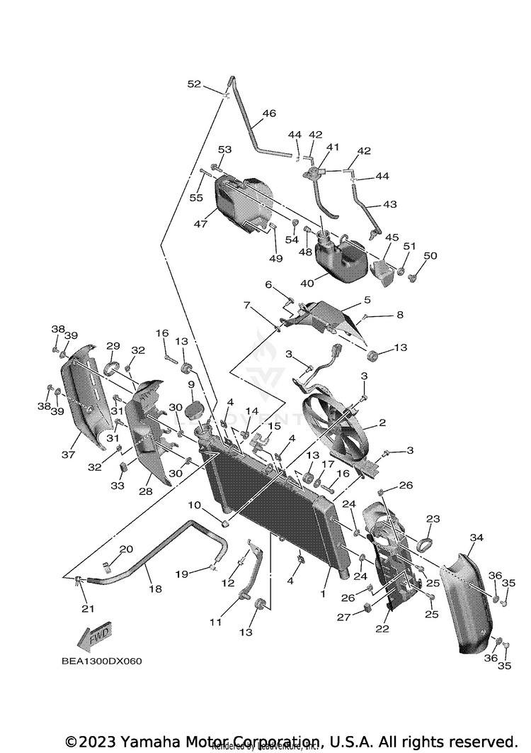 Radiator & Hose XSR900 - XSR900NCB - 2022 Schematic