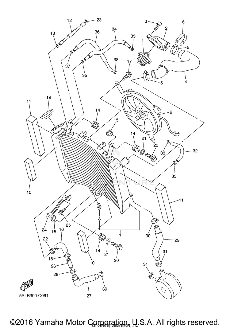Radiator Hose Schematic