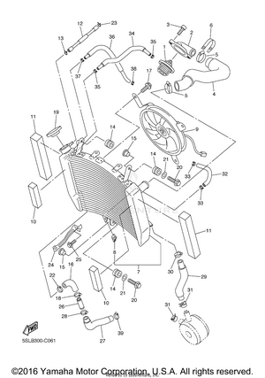 Radiator Hose Schematic