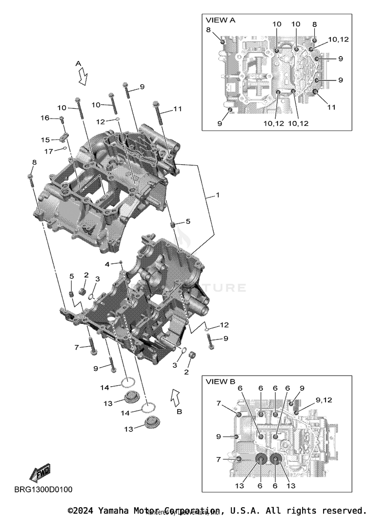 Crankcase MT03 - MT03SCB - 2025 Schematic