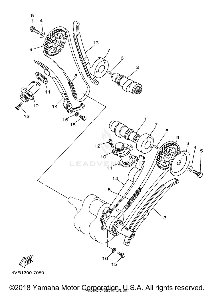 Camshaft Chain Schematic