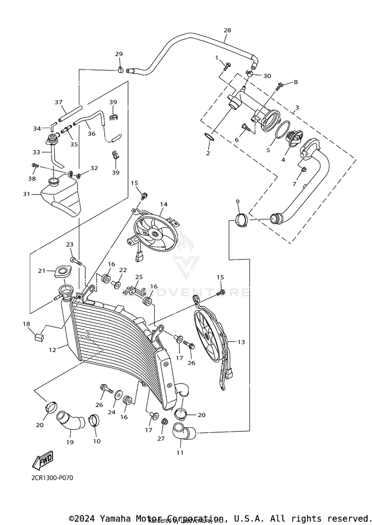 Radiator Hose Schematic