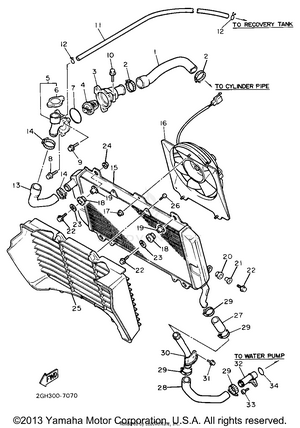 Radiator Hose Schematic