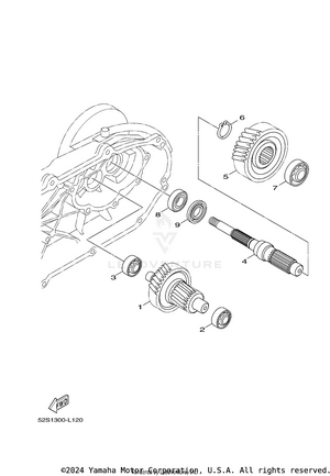 Transmission Schematic