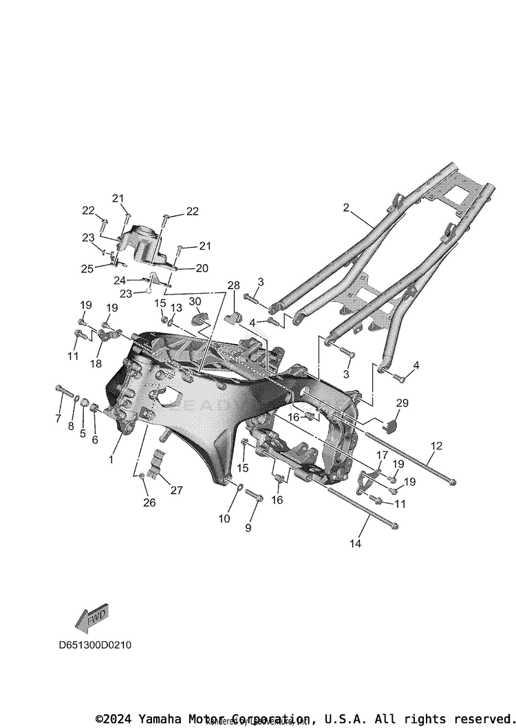 Frame XSR900 - XSR900SCB - 2025 Schematic