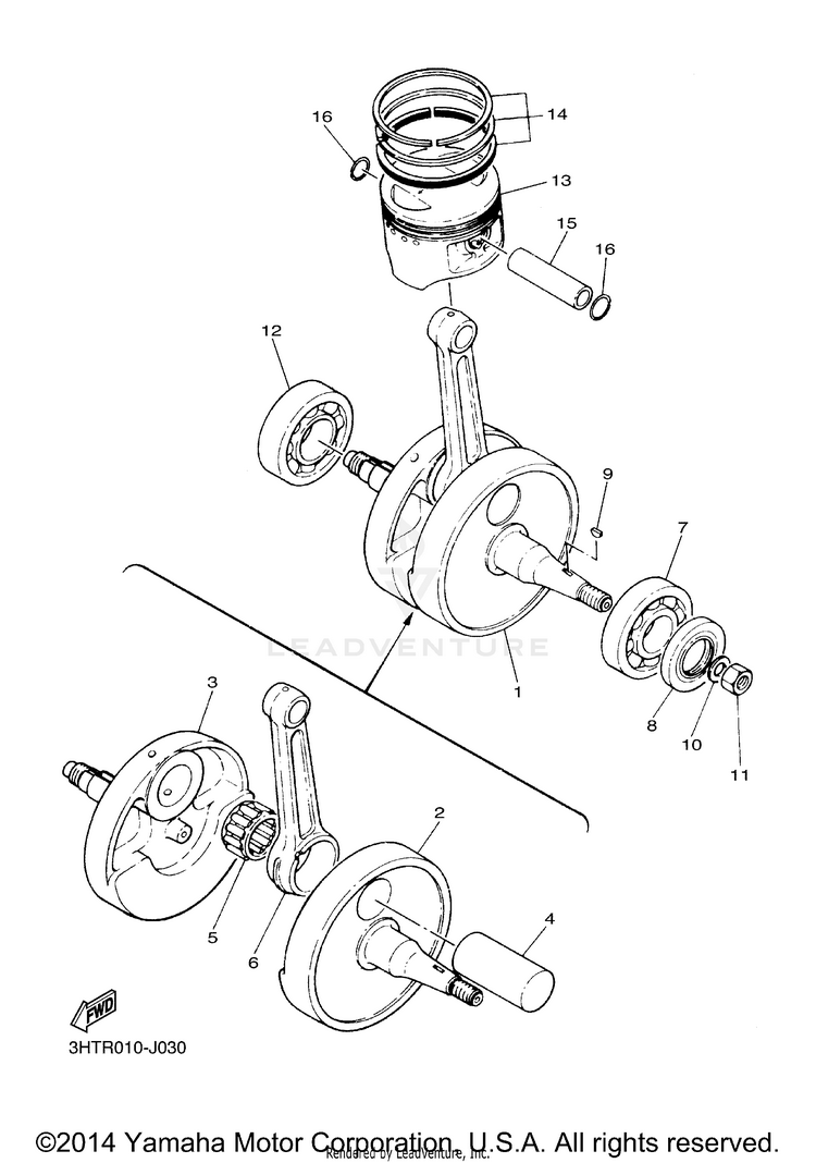 Crankshaft Piston Schematic
