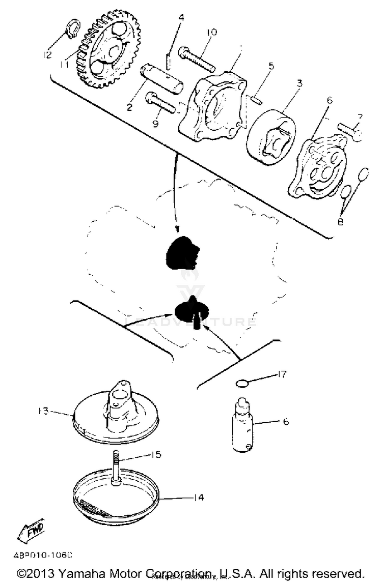 Oil Pump Schematic