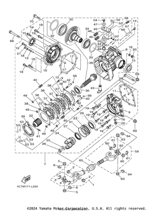 Drive Shaft Schematic