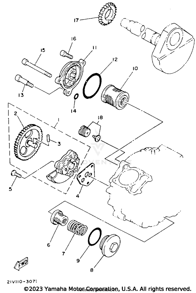 Oil Pump Schematic