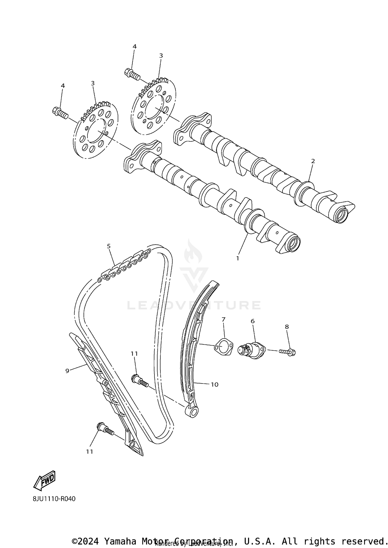 CAMSHAFT & CHAIN