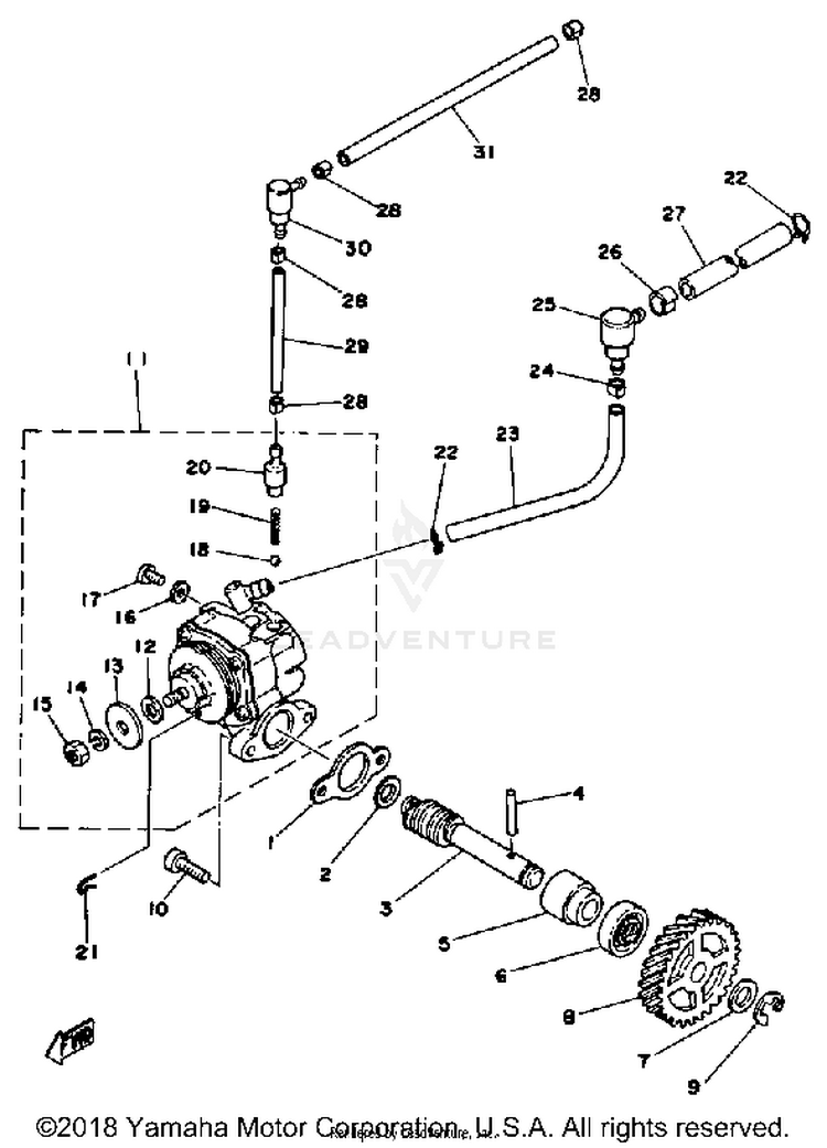 Oil Pump Schematic