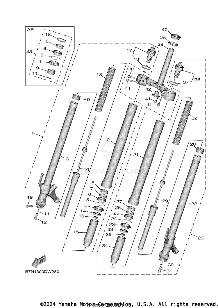 Front Fork XSR900 - XSR900SCB - 2025 Schematic
