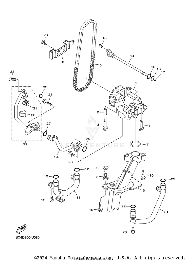 Oil Pump Schematic