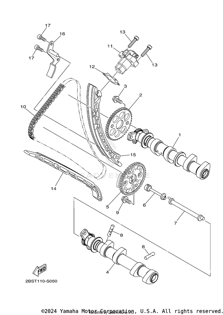 Camshaft & Chain Schematic