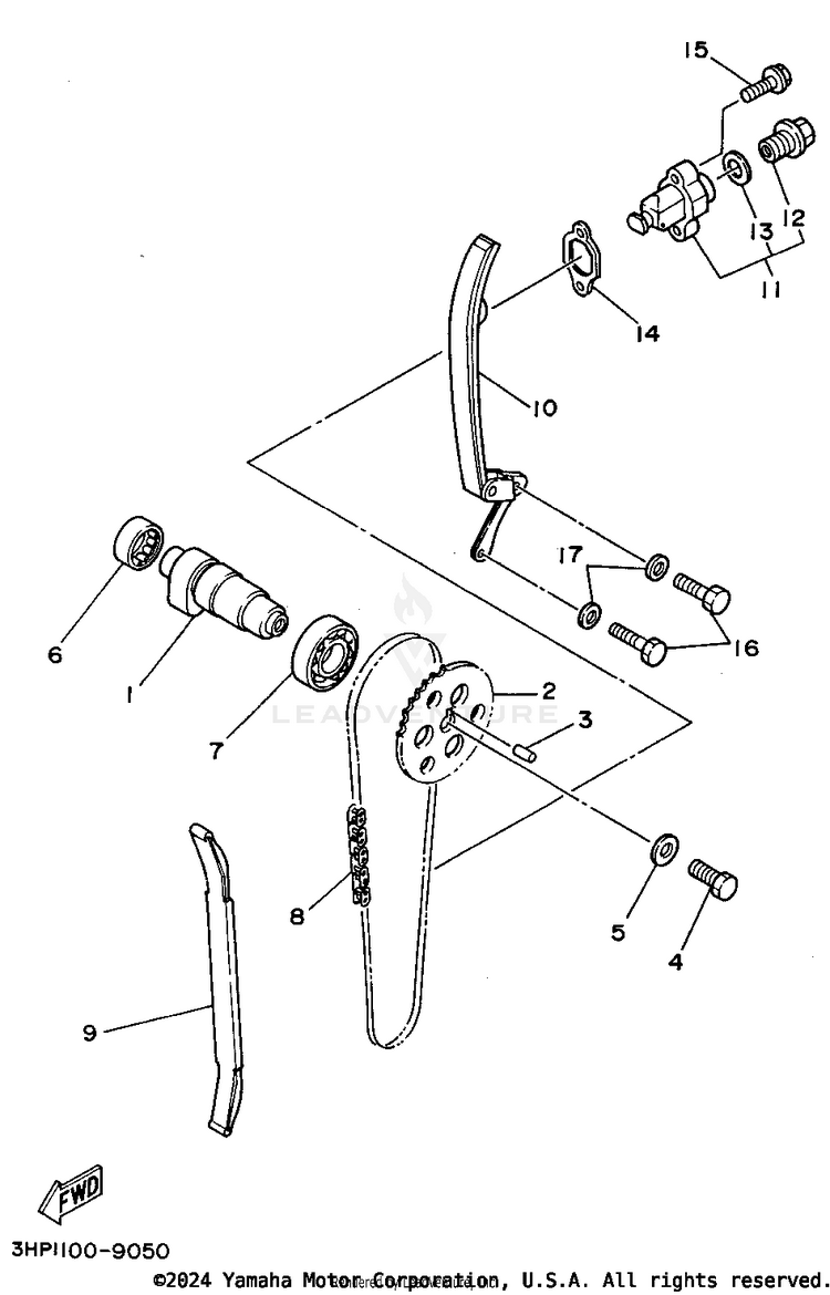 Camshaft - Chain Schematic