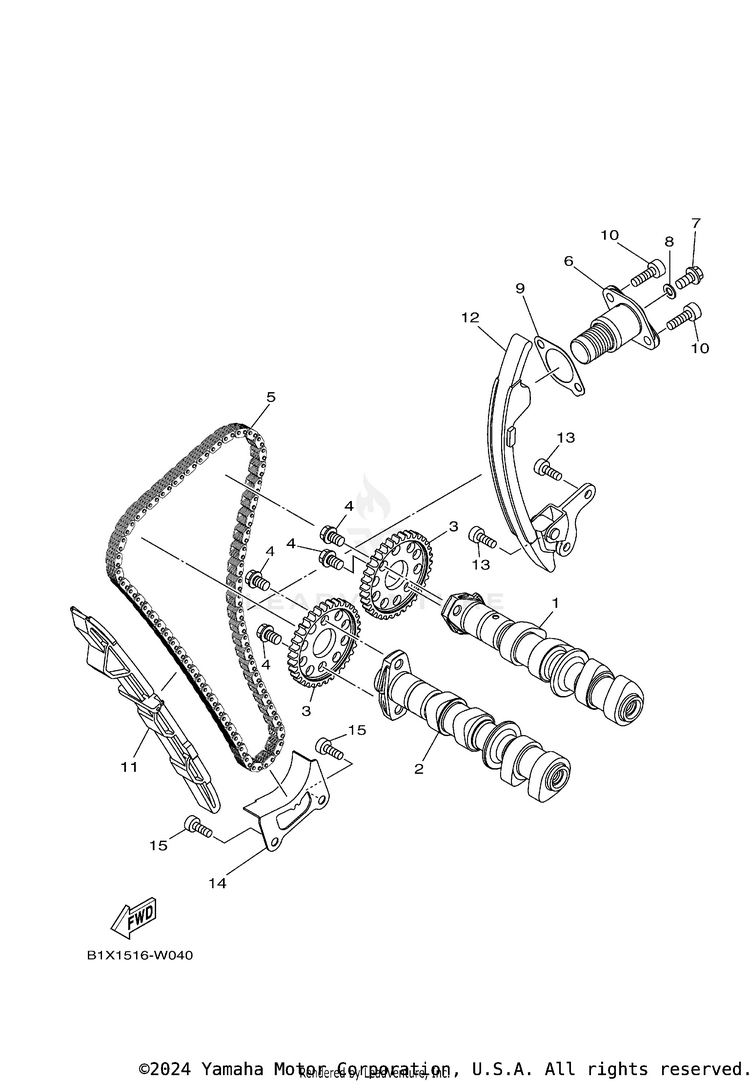 Camshaft & Chain Schematic