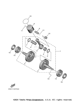 Crankshaft & Piston Schematic