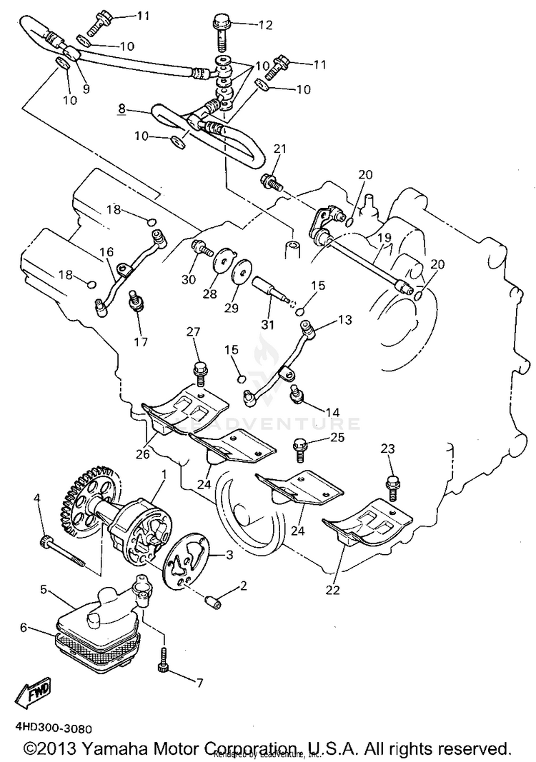 Oil Pump Schematic