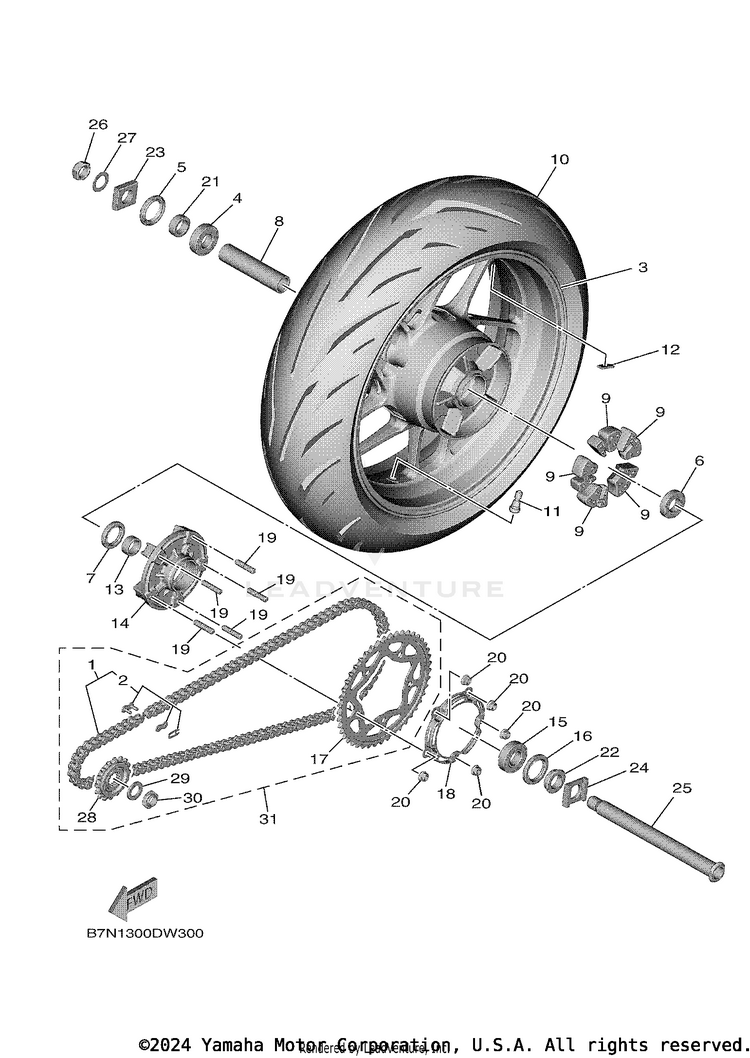 Rear Wheel Schematic