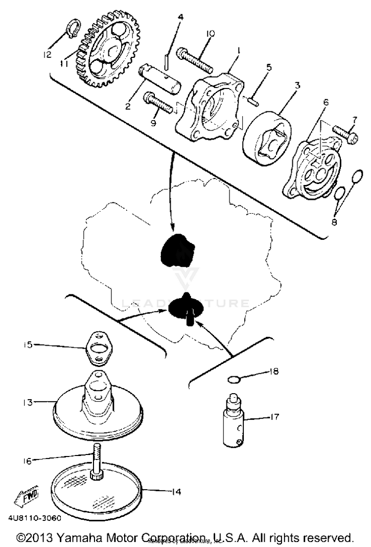 Oil Pump Schematic
