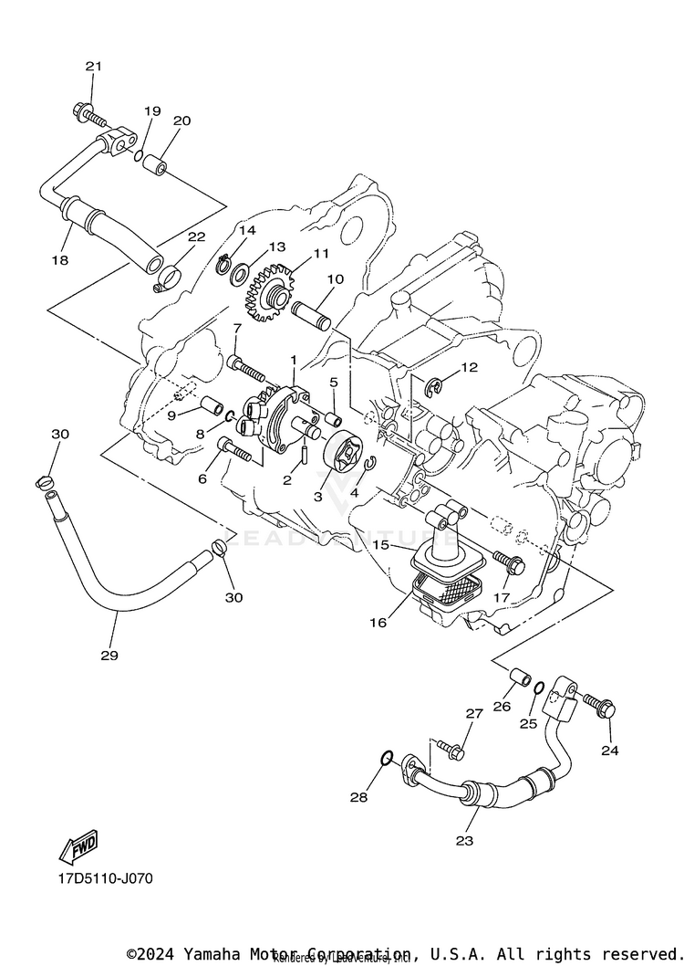 Oil Pump YZ250FB - YZ250FBL - 2012 Schematic