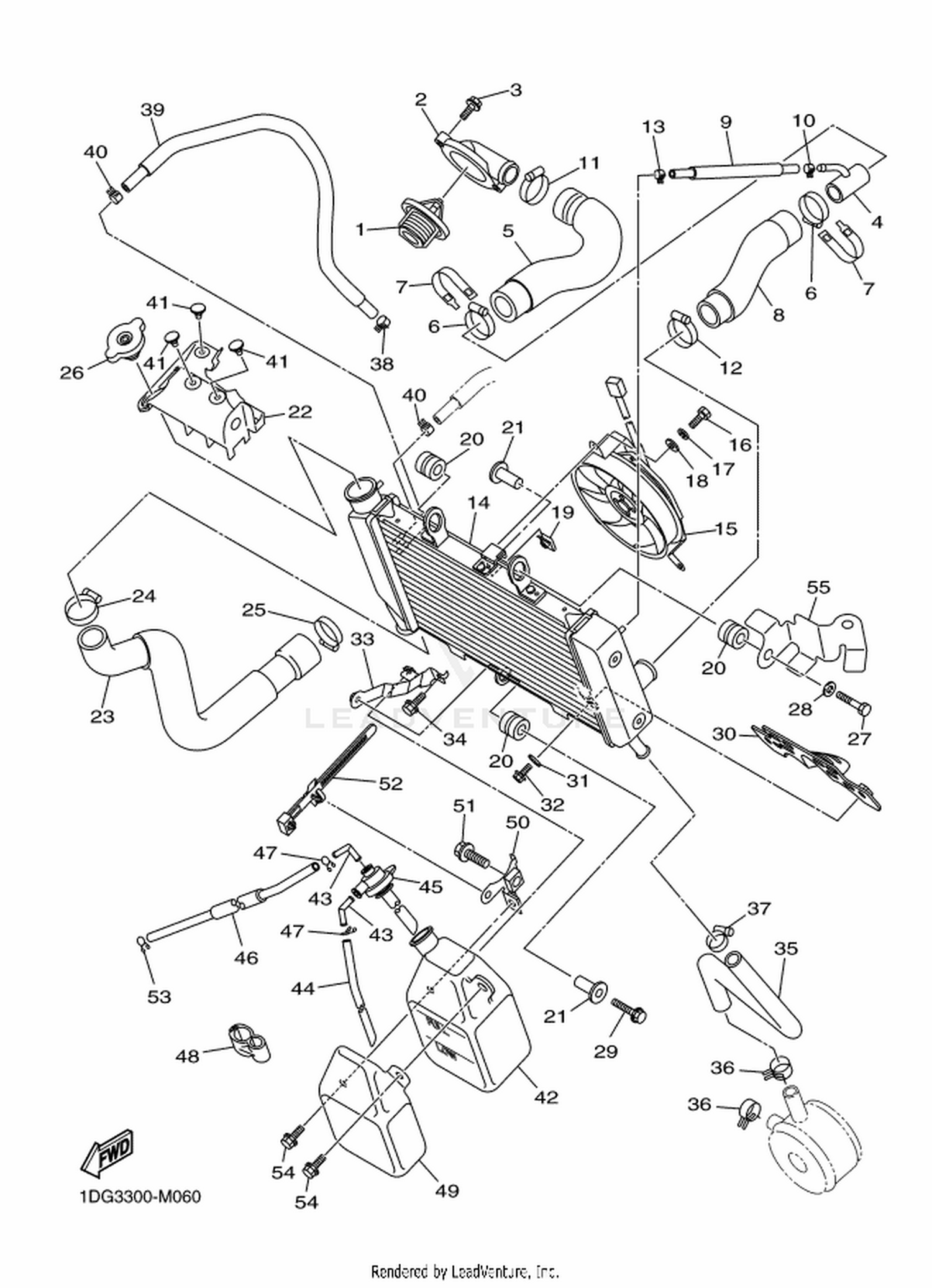 06 RADIATOR  HOSE