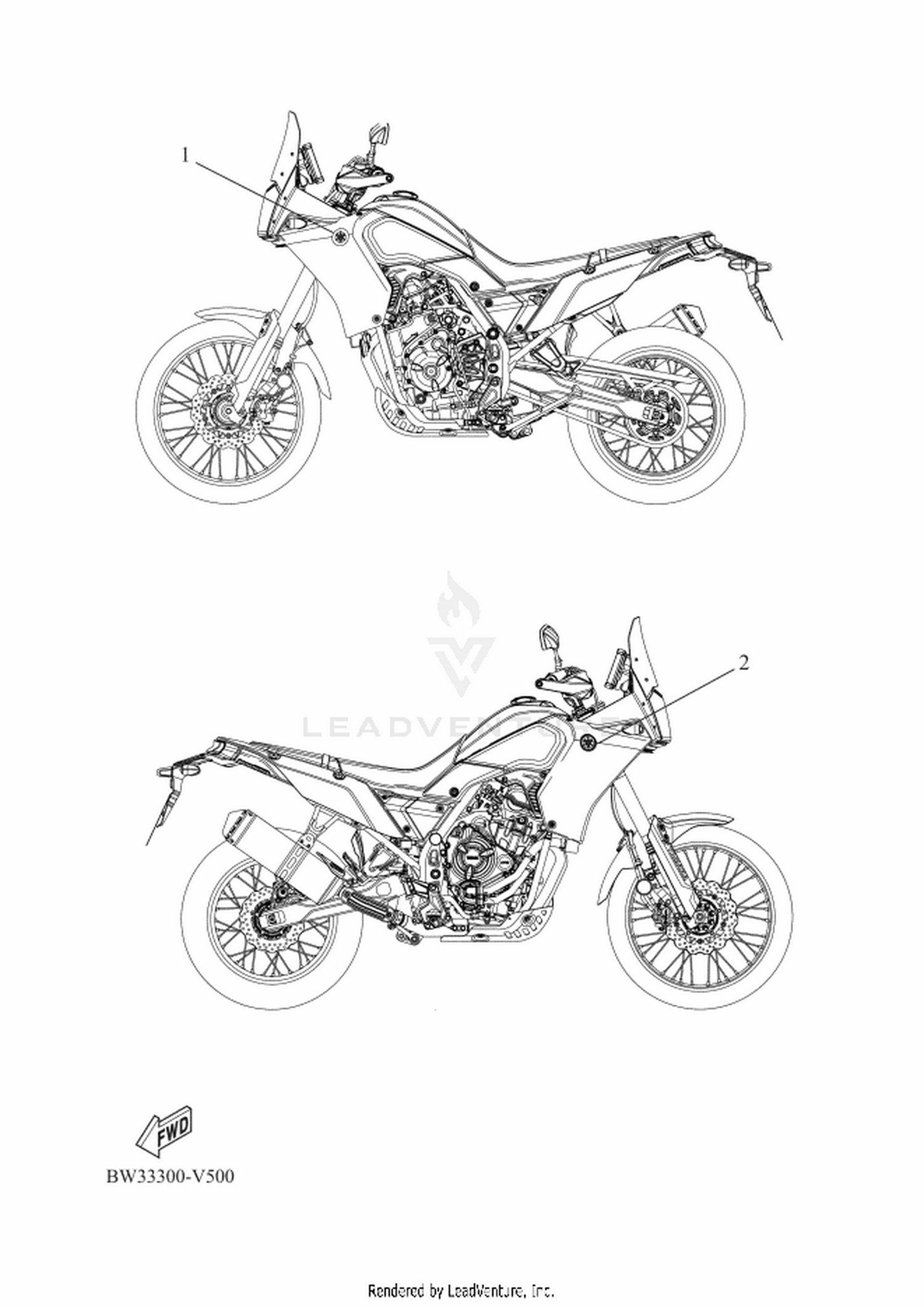 54 GRAPHIC & EMBLEM