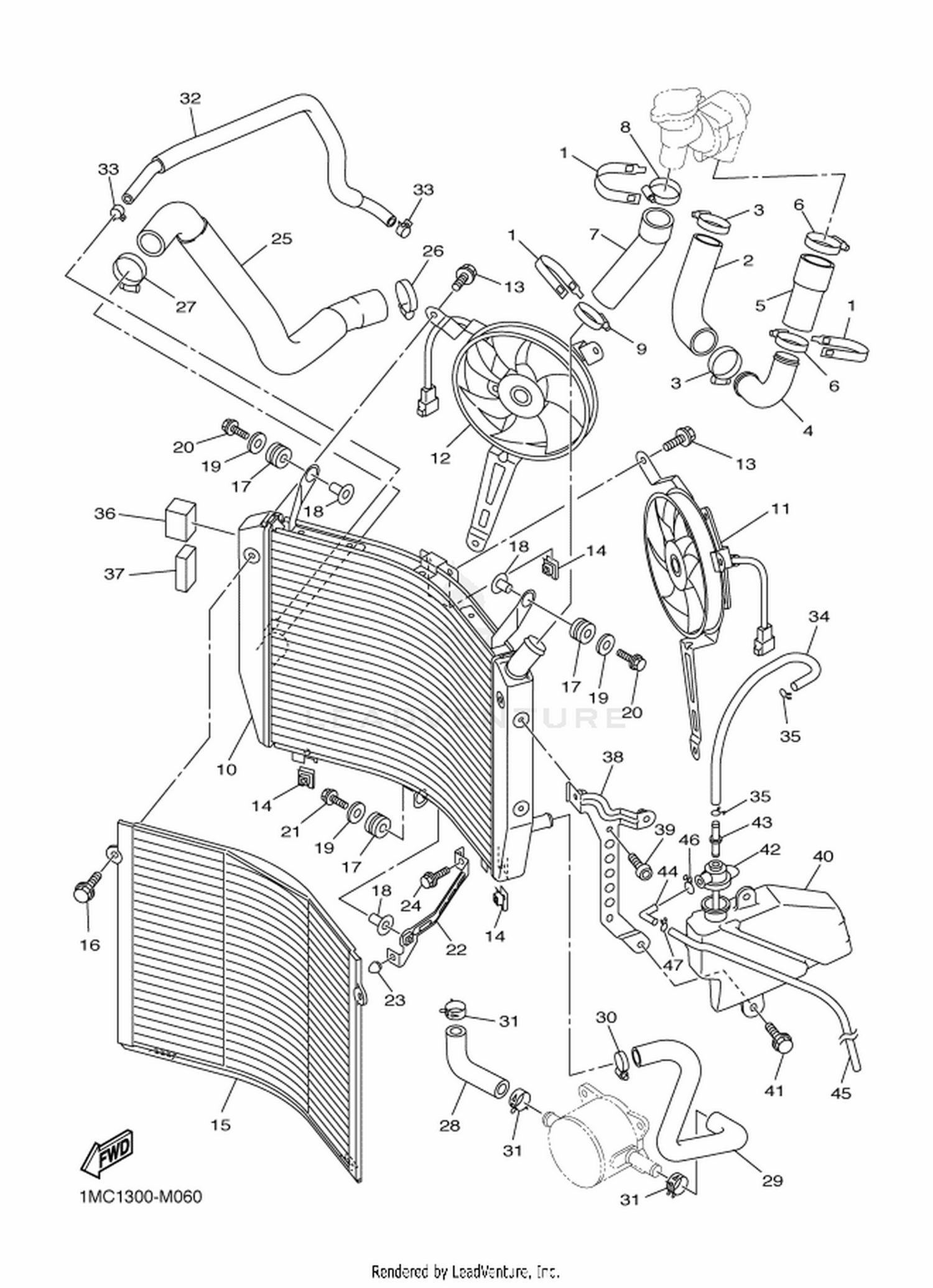 06 RADIATOR  HOSE