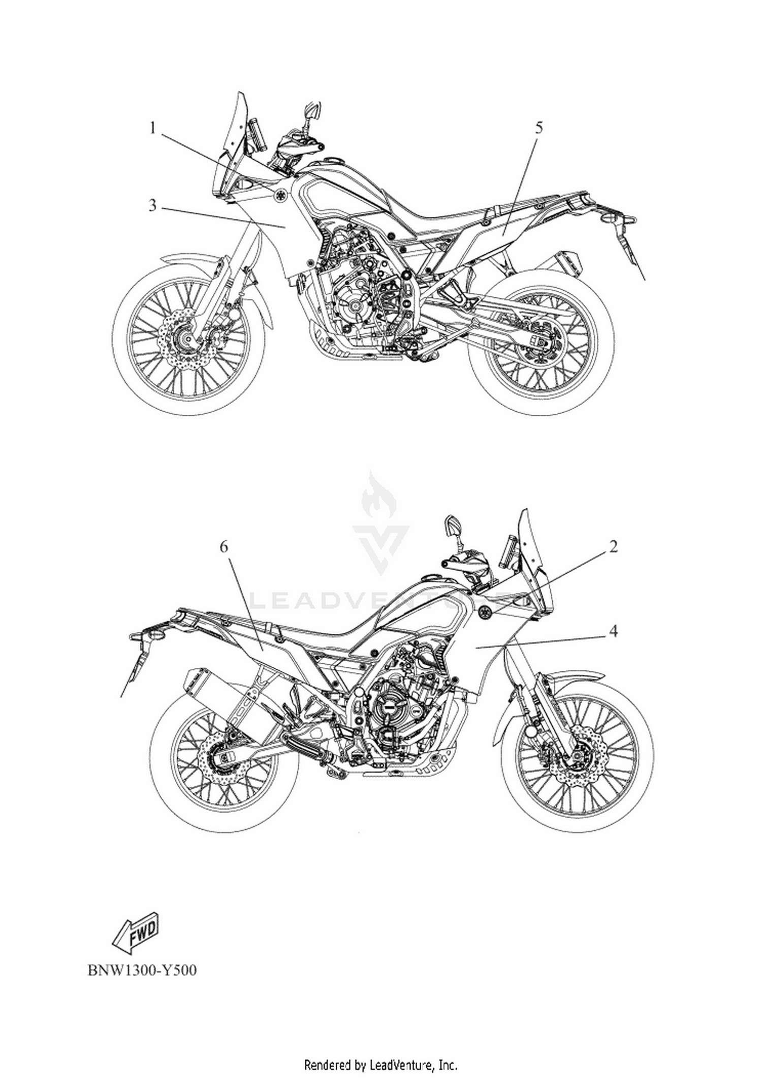 51 GRAPHIC & EMBLEM