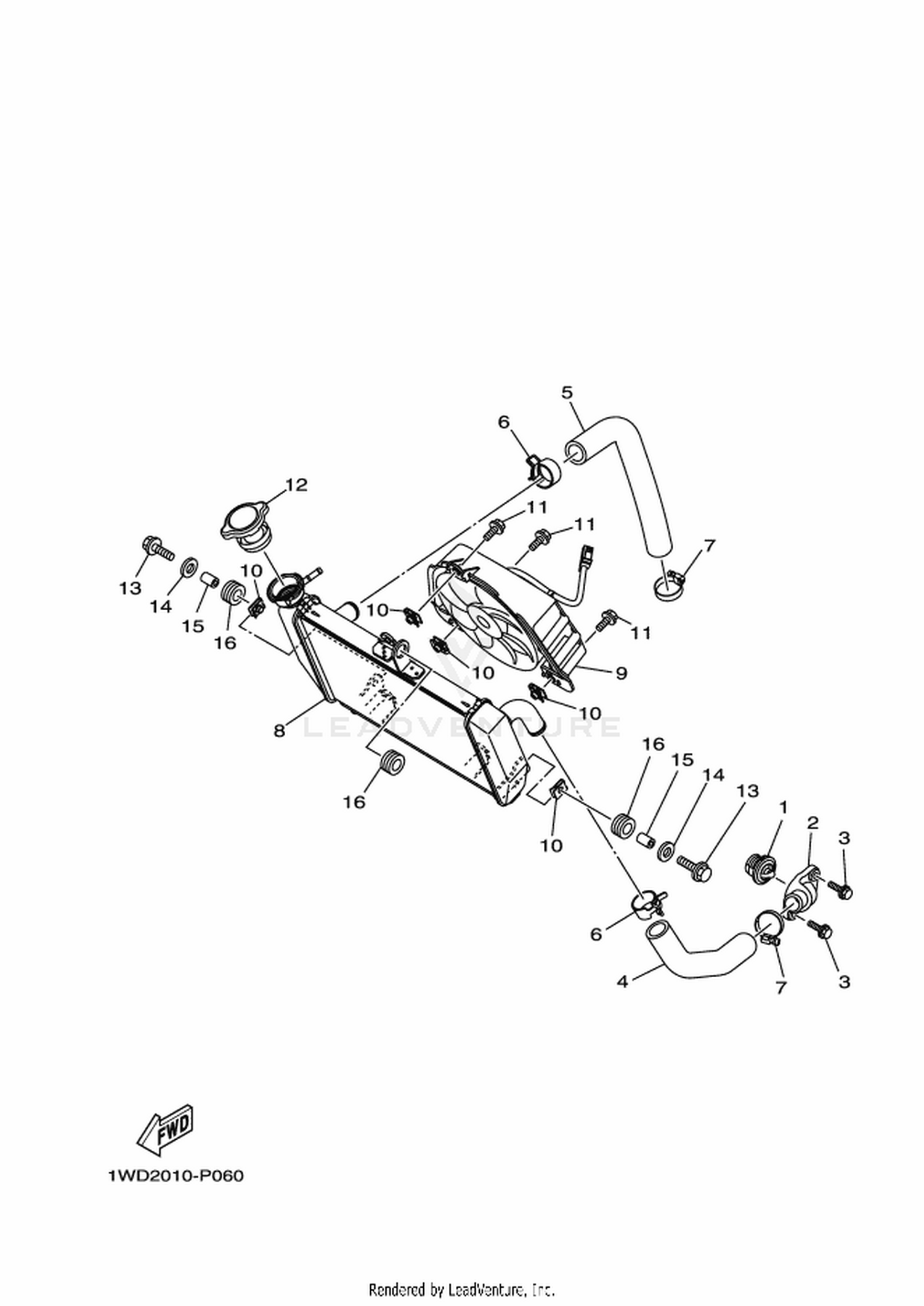 06 RADIATOR  HOSE