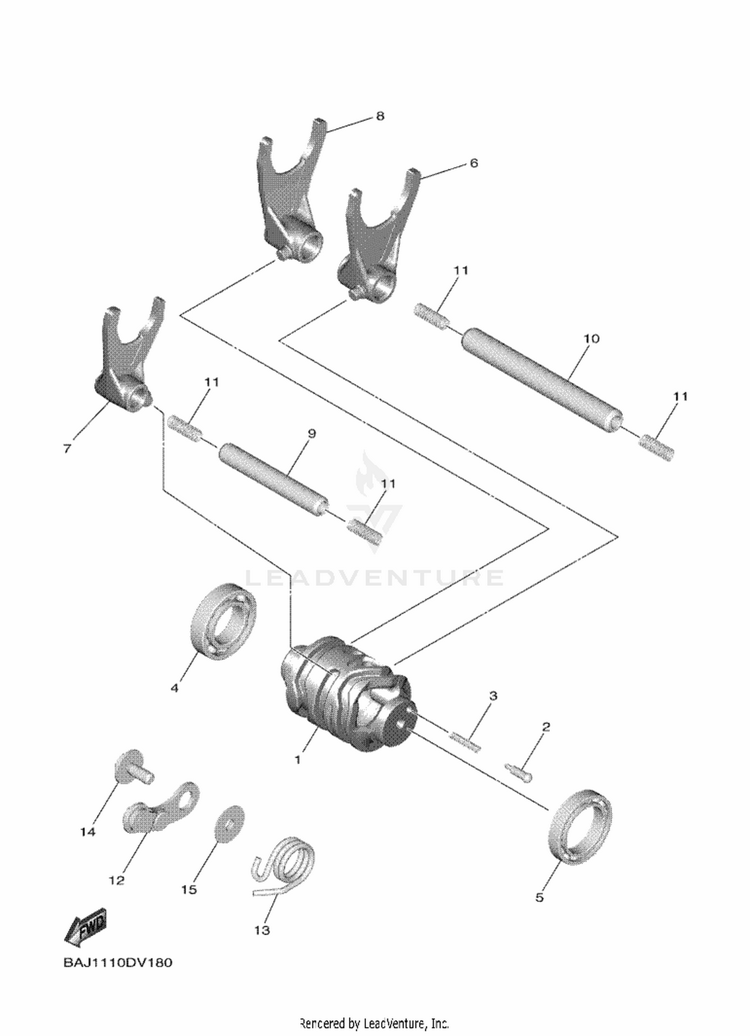 21 SHIFT CAM & FORK