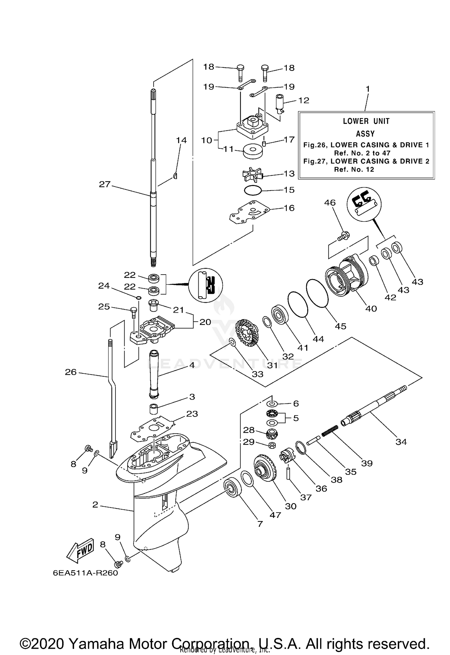 LOWER CASING & DRIVE 1