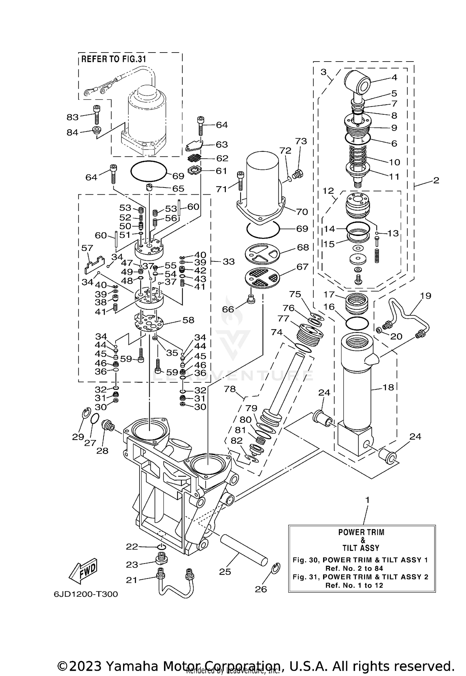 POWER TRIM TILT ASSY 1